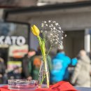 Link öffnet seitenüberlagerndes Dialog-Fenster