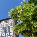 Link öffnet seitenüberlagerndes Dialog-Fenster