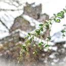 Link öffnet seitenüberlagerndes Dialog-Fenster