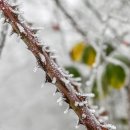 Link öffnet seitenüberlagerndes Dialog-Fenster
