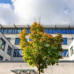 Link öffnet seitenüberlagerndes Dialog-Fenster