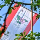 Link öffnet seitenüberlagerndes Dialog-Fenster