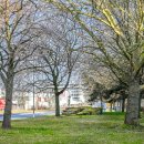 Link öffnet seitenüberlagerndes Dialog-Fenster