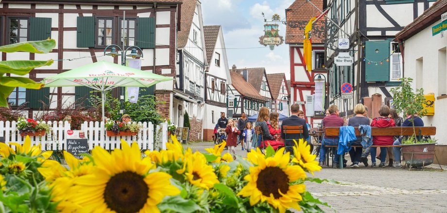 Dreieichenhain Altstadt mit Sonnenblumen