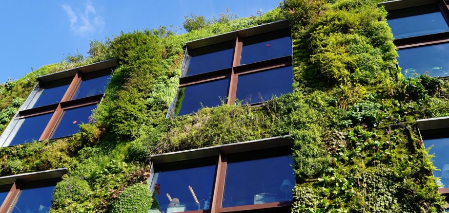 Low angle view of modern plant architecture on a sunny day