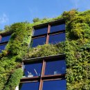 Low angle view of modern plant architecture on a sunny day