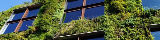 Low angle view of modern plant architecture on a sunny day