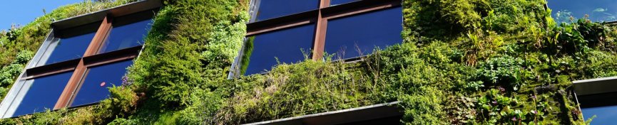 Low angle view of modern plant architecture on a sunny day