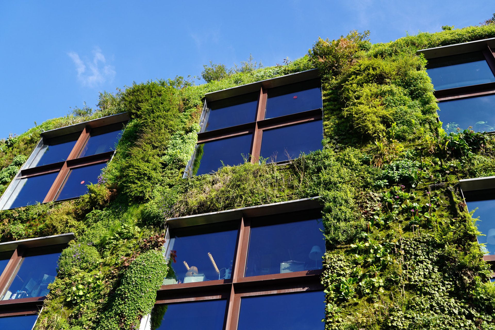 Low angle view of modern plant architecture on a sunny day Low angle view of modern plant architecture on a sunny day