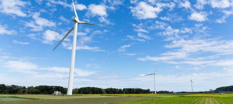 Green meadow with Wind turbines