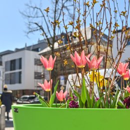 Link öffnet seitenüberlagerndes Dialog-Fenster